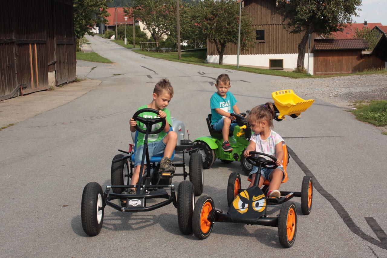 Ferienhof Naderhirn - Bauernhof Wegscheid Zewnętrze zdjęcie